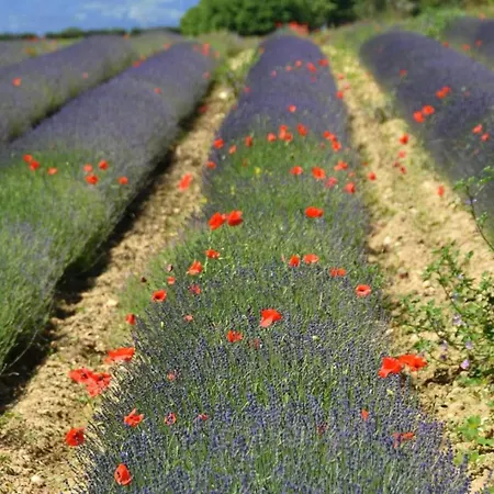 Mas1850 En Drome Provencale Bed and Breakfast